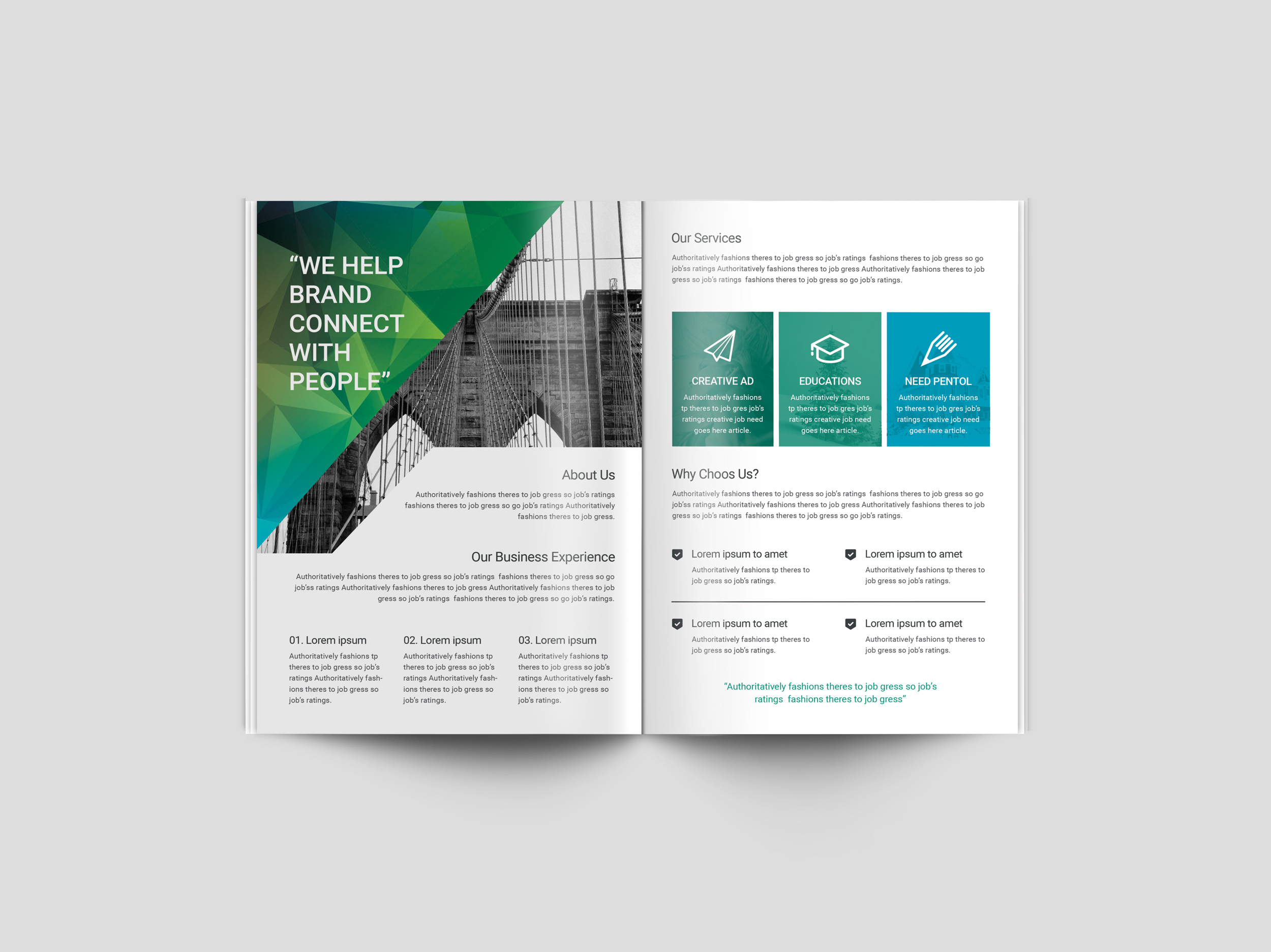 Polaris Professional Bi-Fold Brochure Template