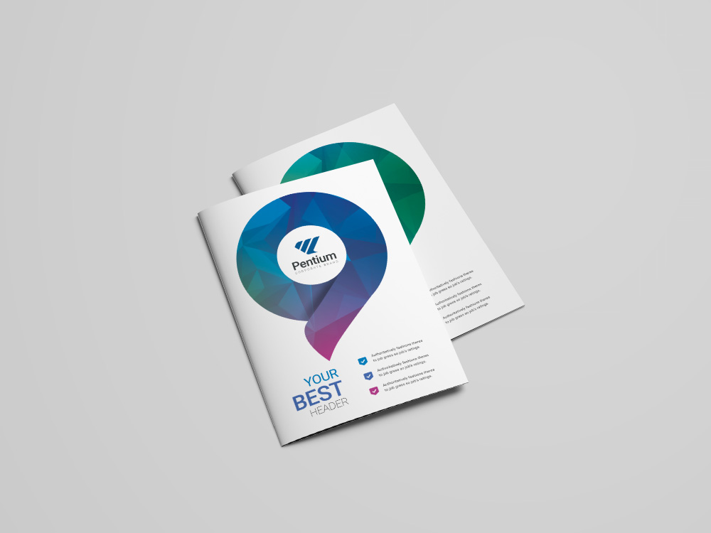 Polaris Professional Bi-Fold Brochure Template