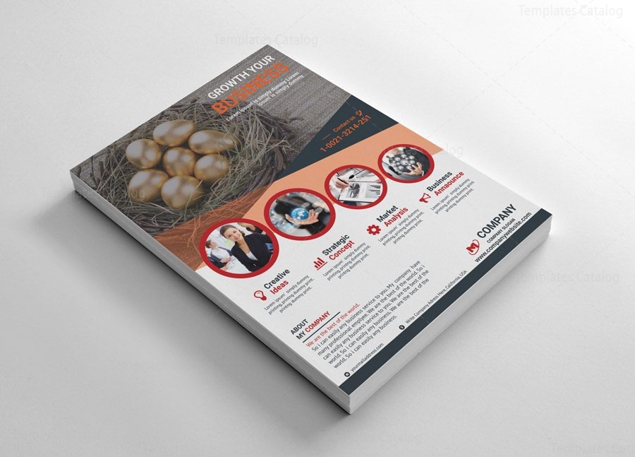 Excellent Flyers Design Template